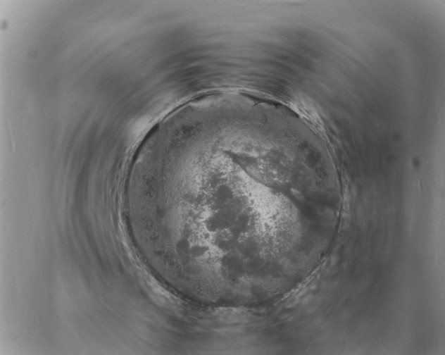 X0000088030145200705182034