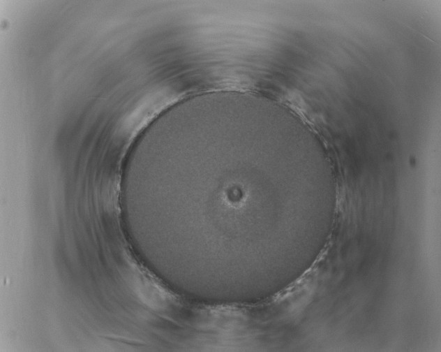 X0000088030146200705182034