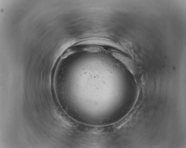 X0000088030148200705182034