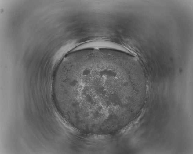 X0000088030149200705182034