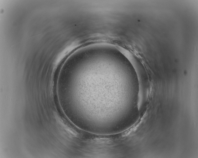 X0000088030150200705182034