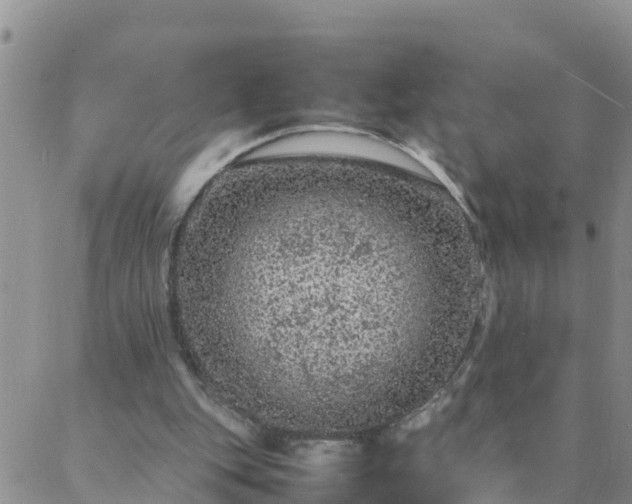 X0000088030151200705182034