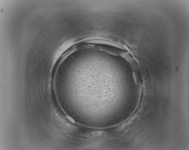 X0000088030152200705182034