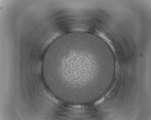 X0000088030153200705182034