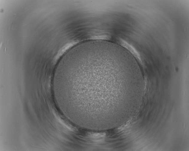 X0000088030155200705182034