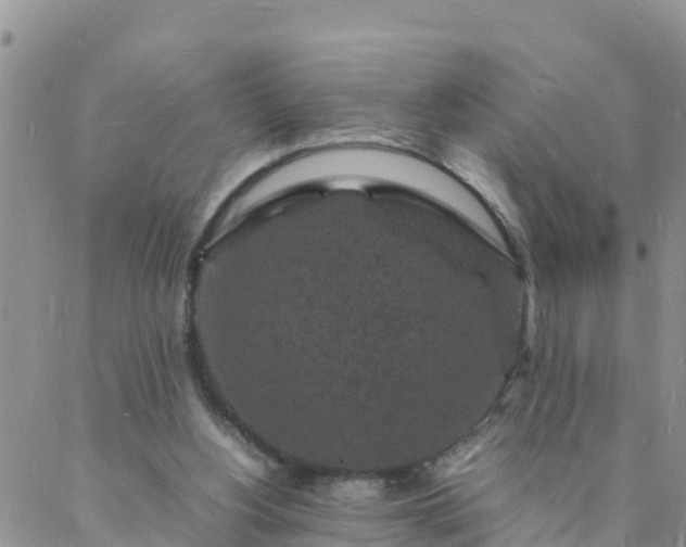 X0000088030156200705182034