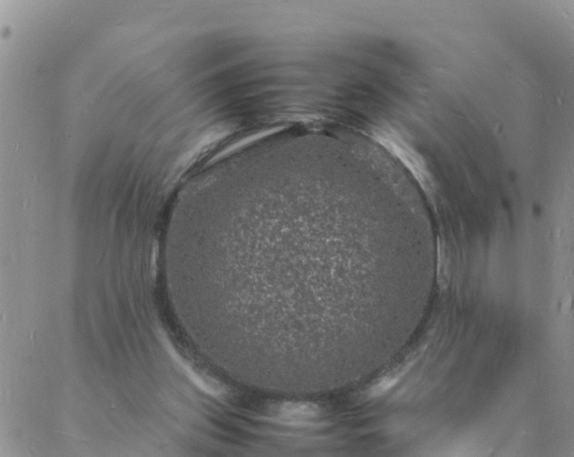 X0000088030157200705182034