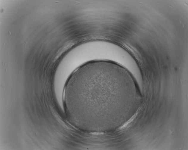 X0000088030158200705182034