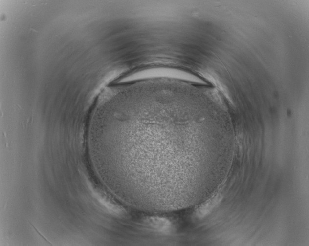 X0000088030159200705182034