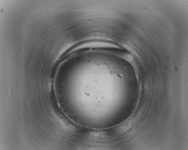 X0000088030160200705182034