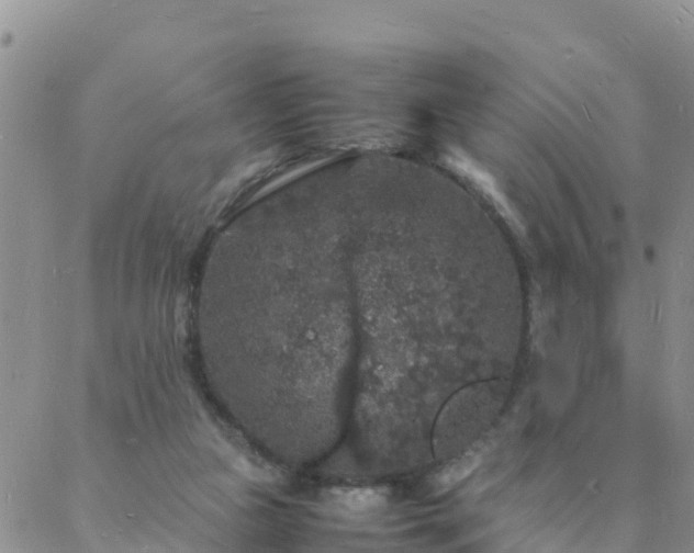 X0000088030161200705182034