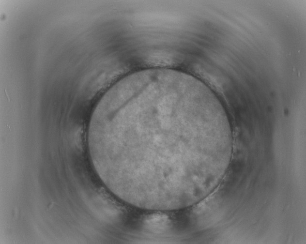 X0000088030162200705182034