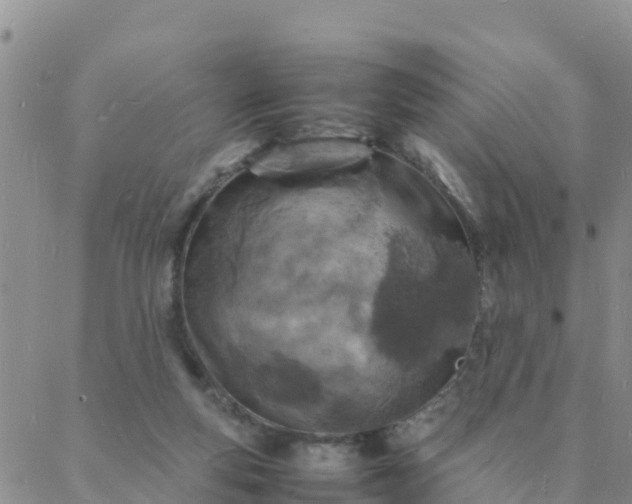 X0000088030163200705182034