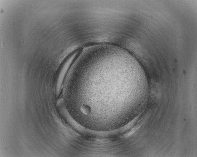 X0000088030164200705182034