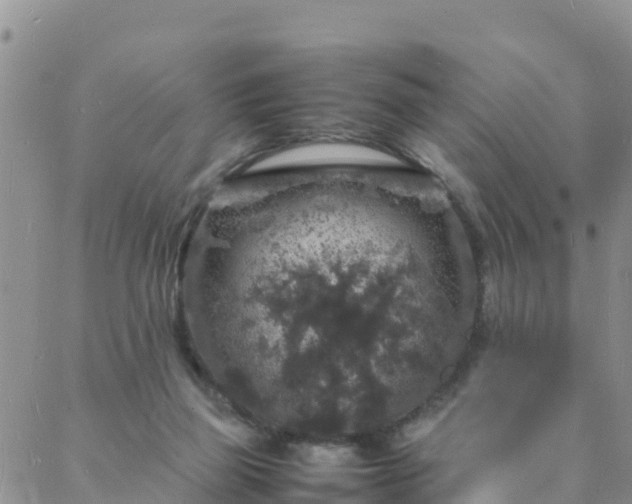 X0000088030165200705182034