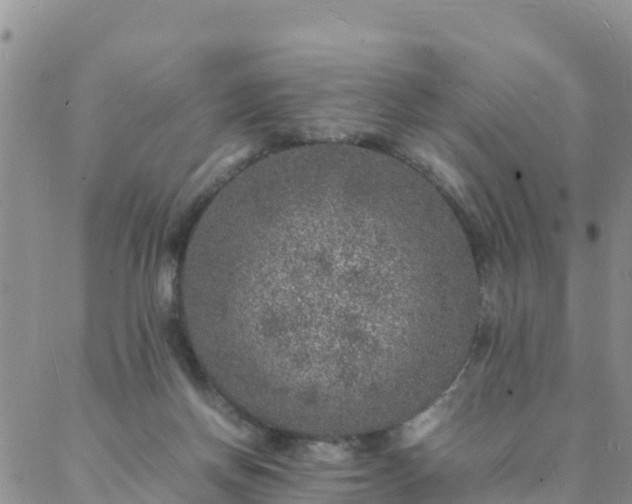 X0000088030166200705182034