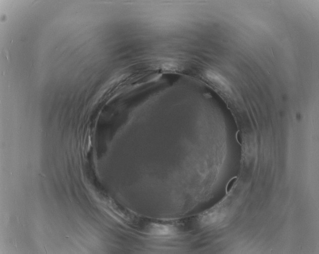 X0000088030167200705182034