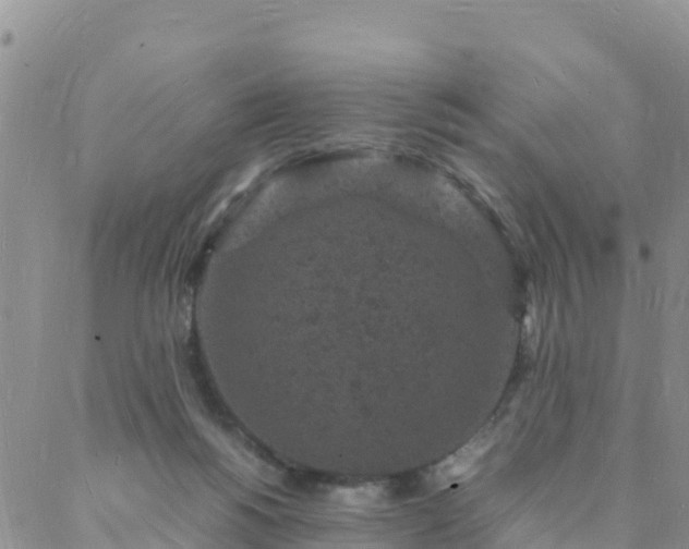 X0000088030168200705182034