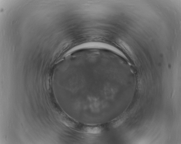 X0000088030169200705182034