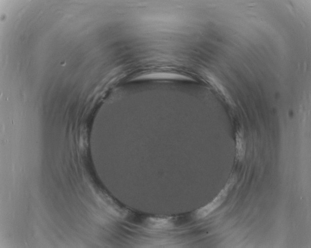 X0000088030170200705182034