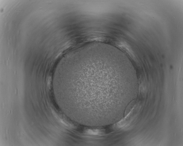 X0000088030171200705182034