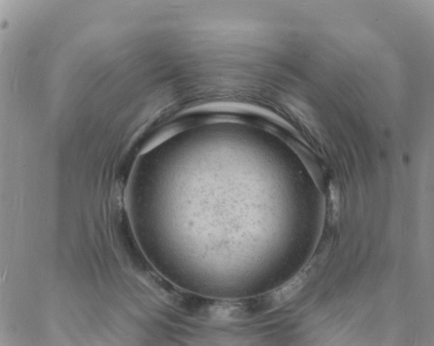 X0000088030172200705182034