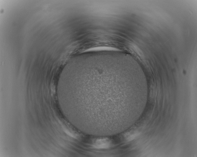 X0000088030173200705182034