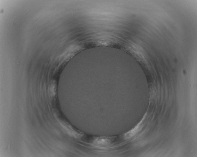 X0000088030174200705182034