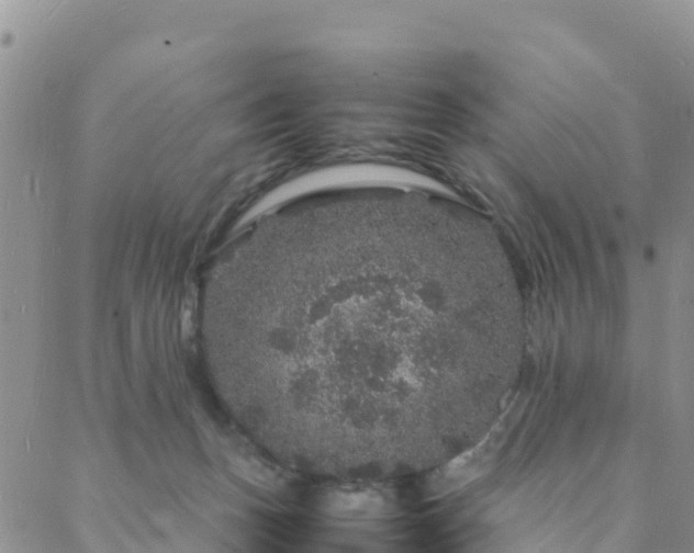 X0000088030175200705182034