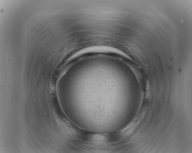 X0000088030176200705182034