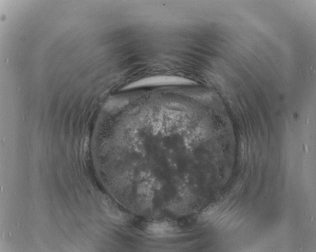 X0000088030177200705182034