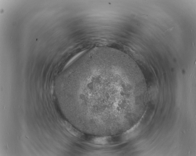 X0000088030178200705182034