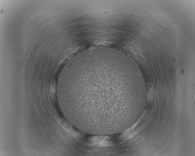 X0000088030179200705182034