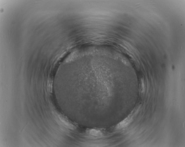 X0000088030180200705182034