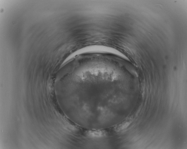 X0000088030181200705182034