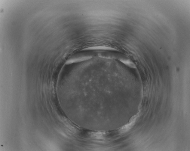 X0000088030182200705182034