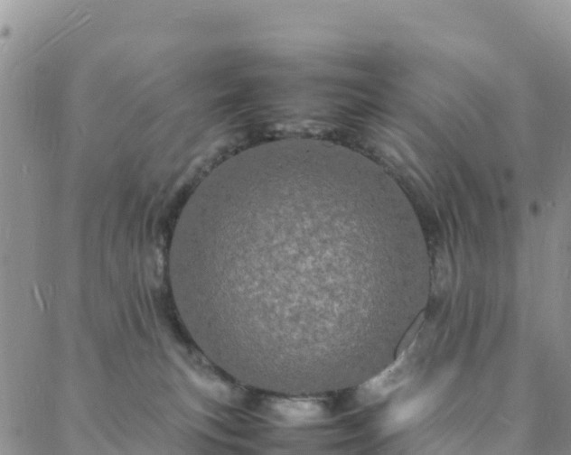 X0000088030183200705182034