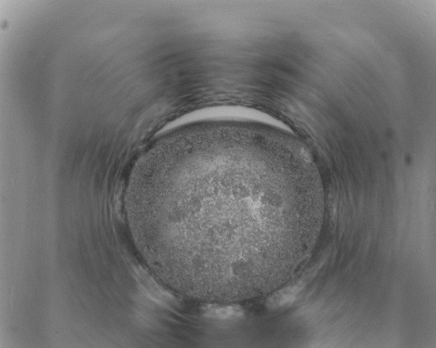 X0000088030185200705182034