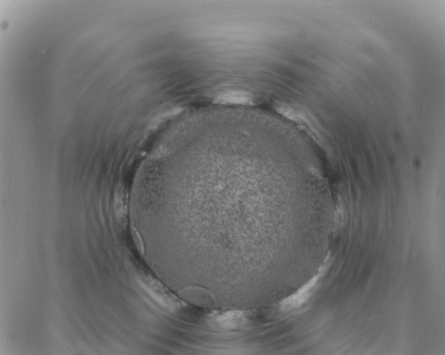 X0000088030186200705182034