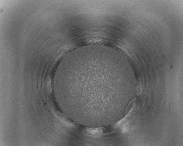 X0000088030187200705182034