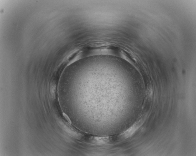 X0000088030188200705182035