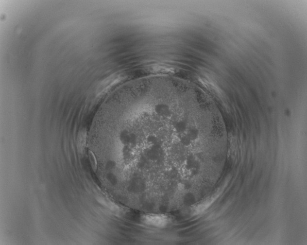 X0000088030189200705182035