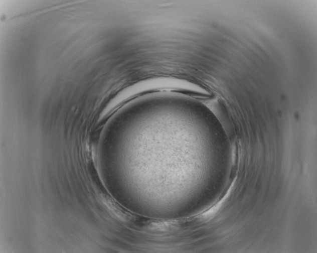 X0000088030190200705182035