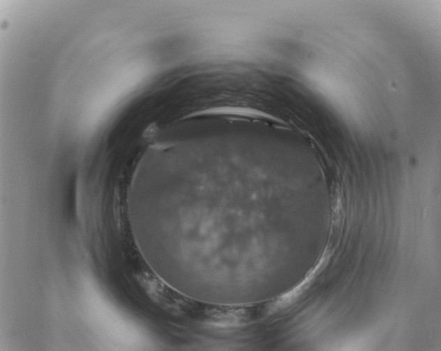 X0000088030191200705182035