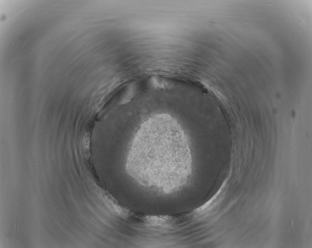 X0000088030192200705182035