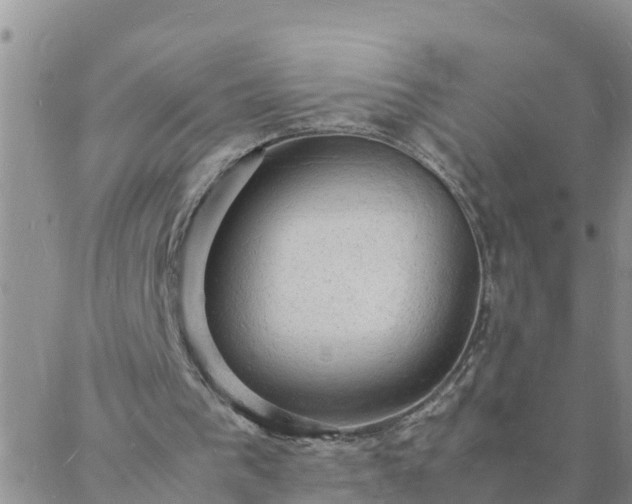 X0000088030193200705182034