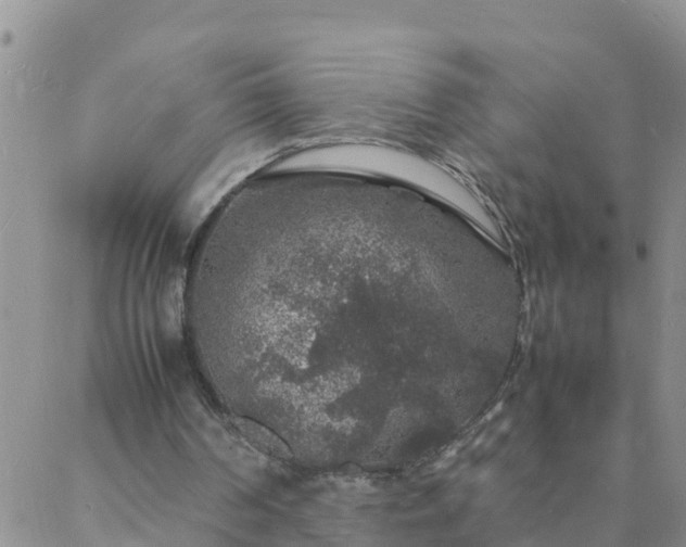 X0000088030194200705182034