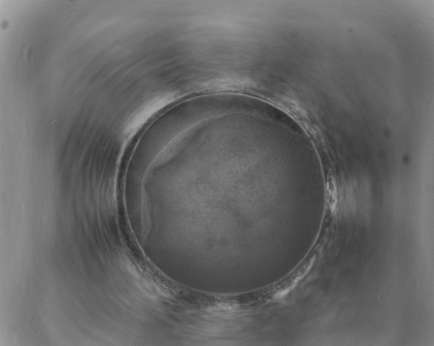 X0000088030196200705182034