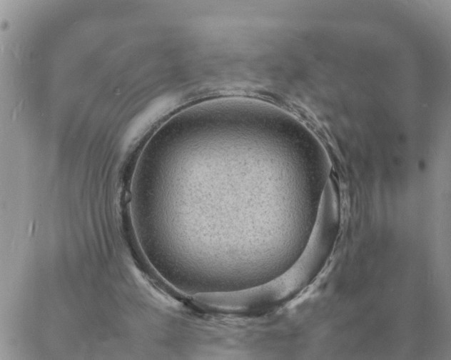 X0000088030197200705182034