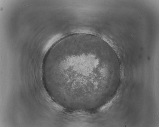 X0000088030199200705182034